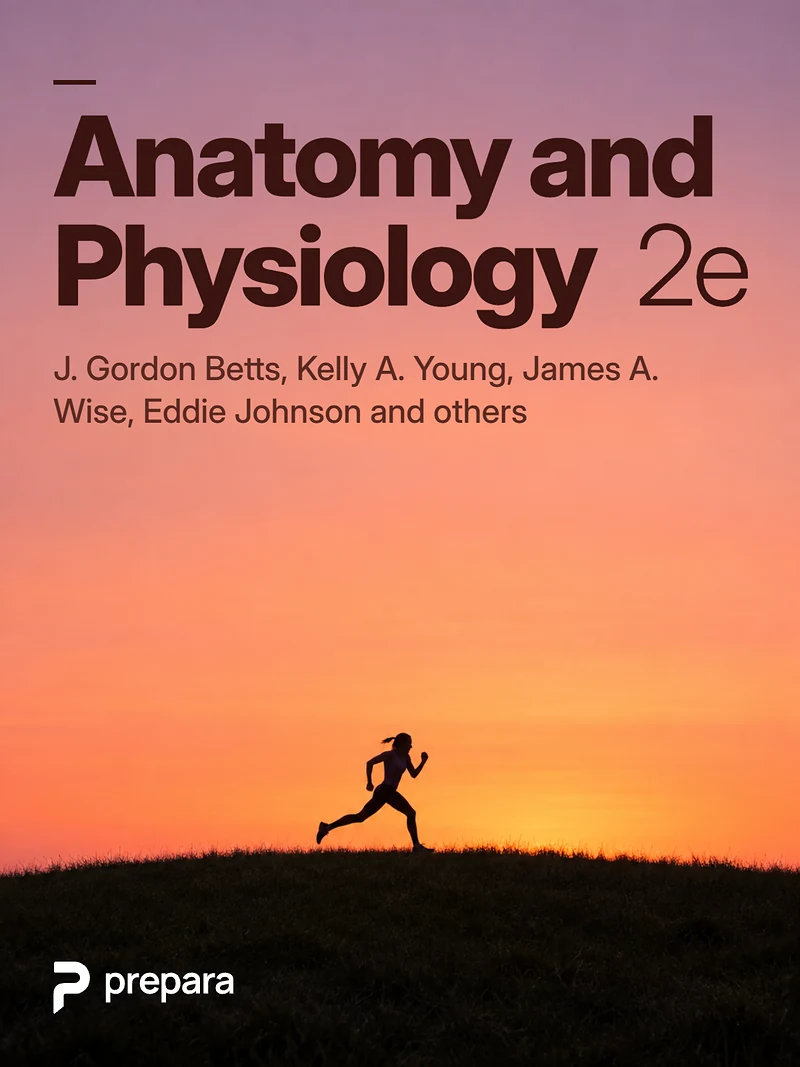 Anatomy and Physiology 2e cover