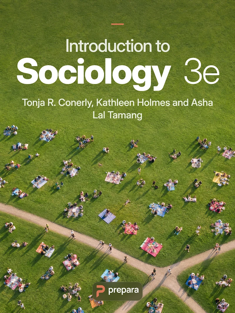 Introduction to Sociology 3e cover